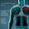 Tyn Clavicle Brace With Velcro