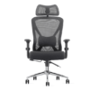 Mesh Ergonomic Orthopedic Office Seat For Back Pain