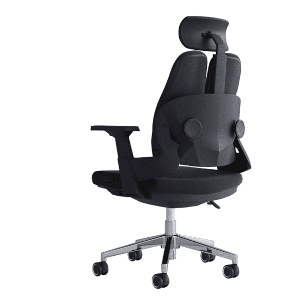 Ergonomic Orthopedic Dual Backrest Office Seat For Back Pain