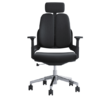 Ergonomic Orthopedic Dual Backrest Office Seat For Back Pain