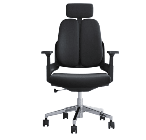 Ergonomic Orthopedic Dual Backrest Office Seat For Back Pain