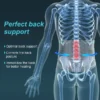 Tyn Orthopedic Lumbo Sacral Belt For Back Pain, Sciatica,Disc Bulge,Herniated Disc ( A05)