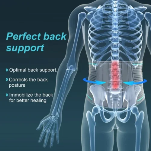 Tyn Orthopedic Lumbo Sacral Belt For Back Pain, Sciatica,Disc Bulge,Herniated Disc ( A05)
